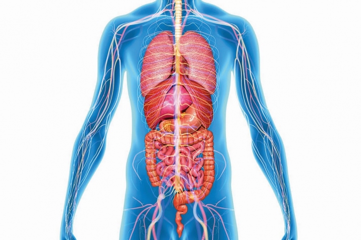 Саратони рӯда. Хӯрокҳое, ки боиси пайдоиши ин беморӣ мегарданд