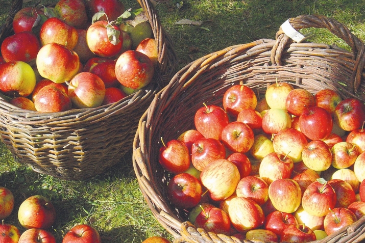 АҠЫЛ ҺАНДЫҒЫ