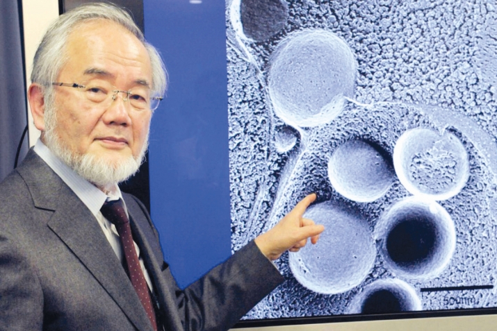 Оruc fаydаsının kәşfinә görә Nоbеl mükаfаtı