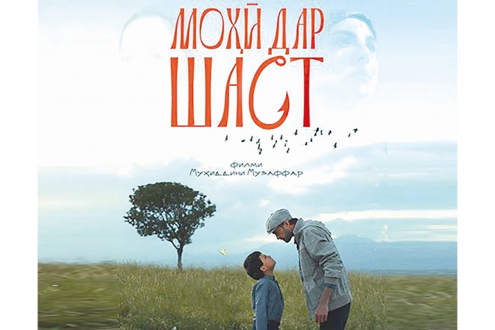 Филми «Моҳӣ дар шаст» дар ду ҷашнвораи байналмилалӣ намоиш дода мешавад