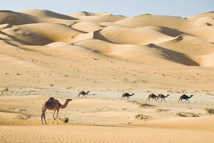 Тәбүтте ҡайтарыу