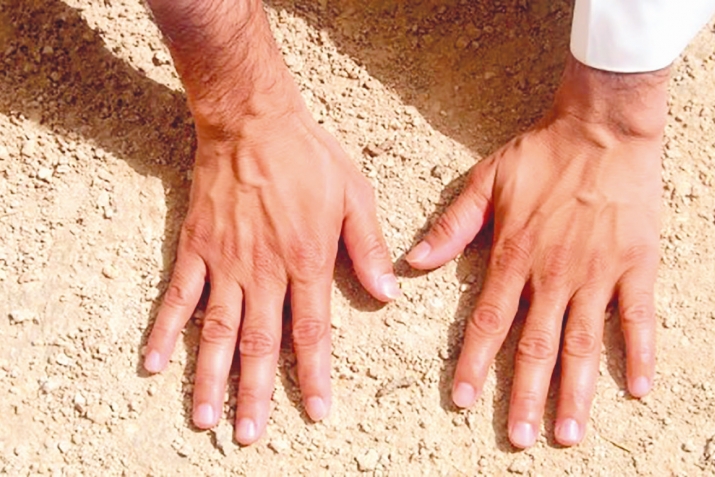 ТӘЈӘММҮМ - ТОРПАГЛА ТӘМИЗЛӘНМӘ