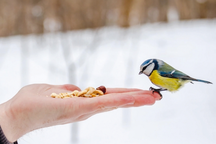 Изге эшкә - шәфкать, яман эшкә – җәза