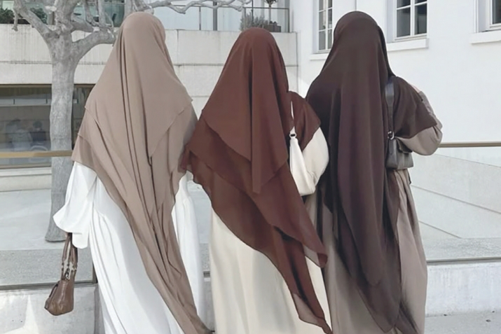 Палтар челгьнила адабуни