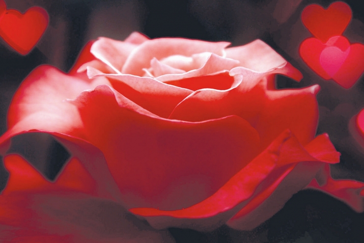 МухIяммад Идбагла ﷺ баракатла хьунри