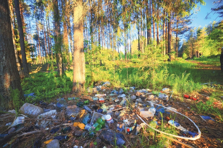 Нясдеш — сен?