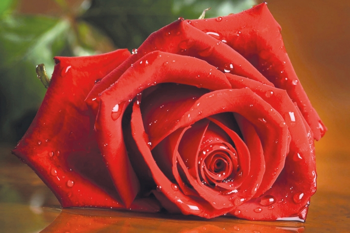 МухIяммад Идбагла ﷺ баракатла хьунри