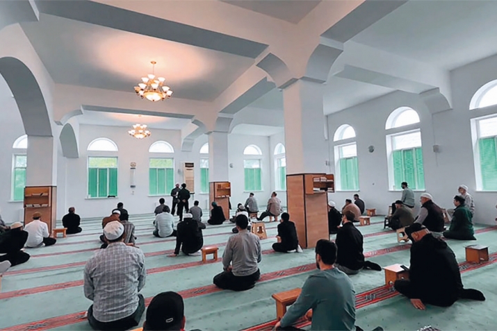 Волонтеразул къец