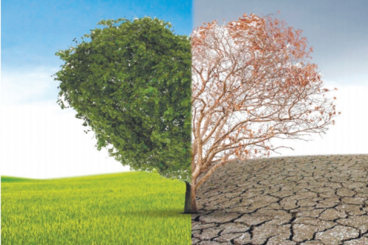 Significance of Sufism